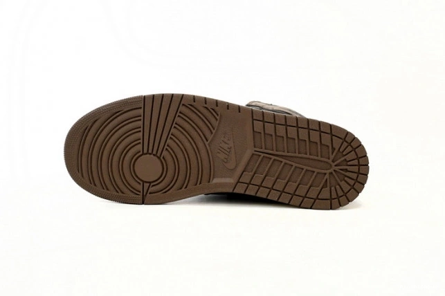 Air DZ5485-020 Jordan OG 1 High Palomino 0825